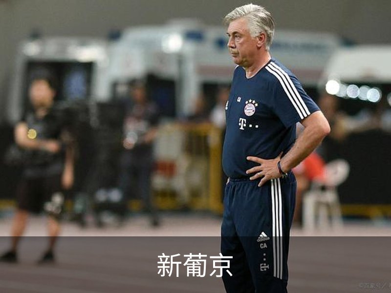 关于新葡京